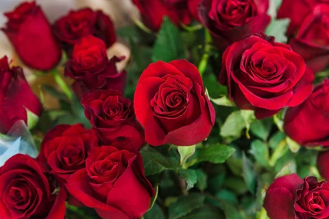 Beautiful red roses bouquet