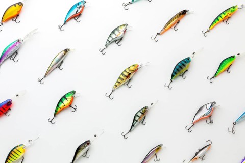 Top view colorful assortment fish bait