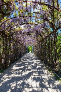 Walkway with blue rain