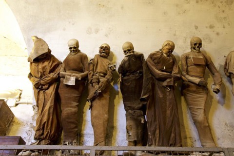 Six standing mummies side by side