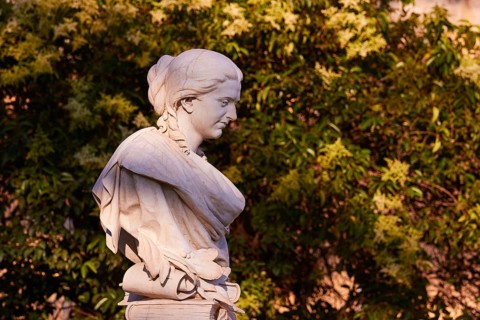 Evening light