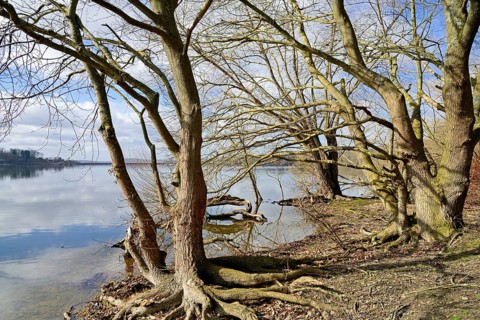 Moehnesee