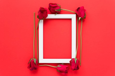 Frame fresh flowers