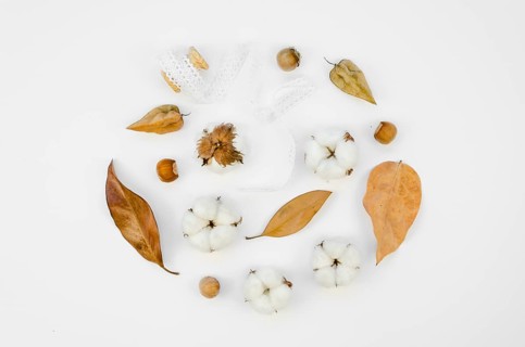 Flat lay cotton flowers assortment