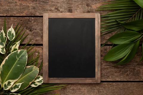 Top view beautiful plant leaves with chalkboard