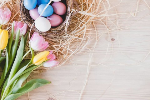 Tulips near eggs hay