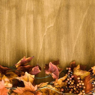 Autumn leaves space