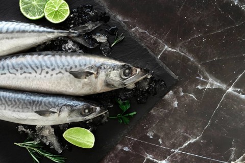 Arrangement healthy sea food