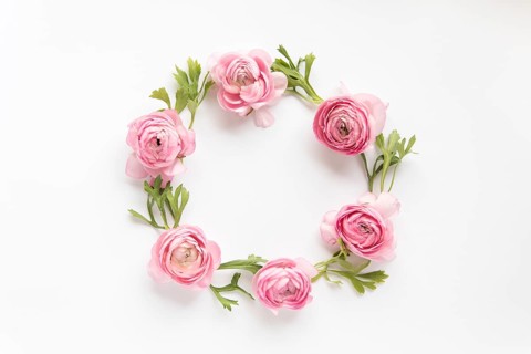 Circle from peonies