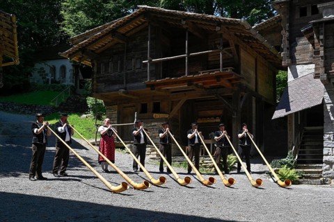 Alphorn players