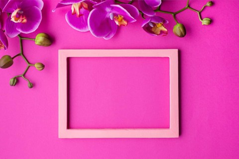 Orchid flowers with empty frame