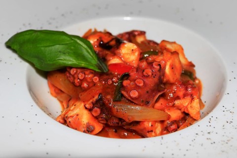 Octopus in red sauce on white plate