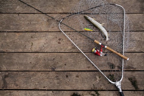 Freshly caught fish inside fishing net with fishing rod wooden pier