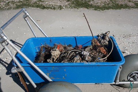 Systematic recording of beach litter on an uninhabited island in the North Sea