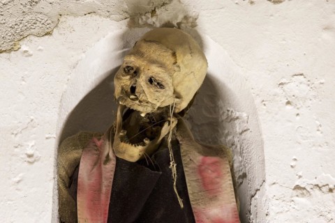 Skull
