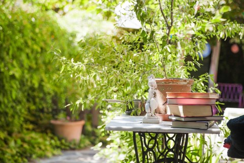 Books table backyard