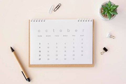 Top view planner calendar succulent plant