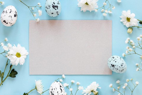 Frame flowers with paper sheet eggs