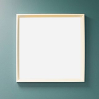 Blank canvas