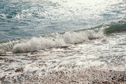 Beautiful natural marine resources