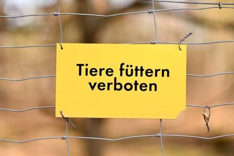 Yellow sign saying 'Feeding animals prohibited' in German language hanging on fence