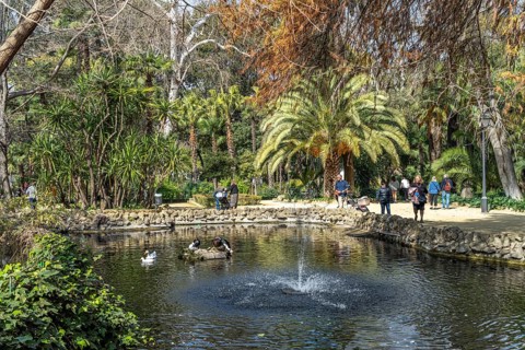 Pond in Maria Luisa Park