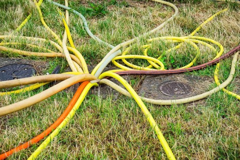Many water hoses in a meadow