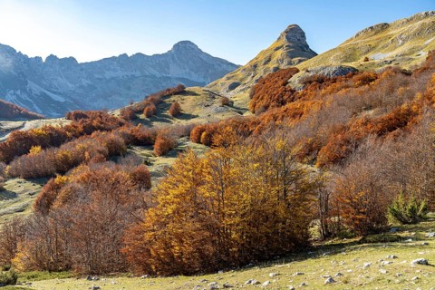 Mountain landscape of Durmitor National Park in autumn