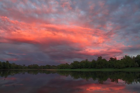 Evening mood in the floodplain forest