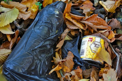 Illegally dumped rubbish in a nature reserve