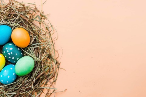 Set bright easter eggs nest