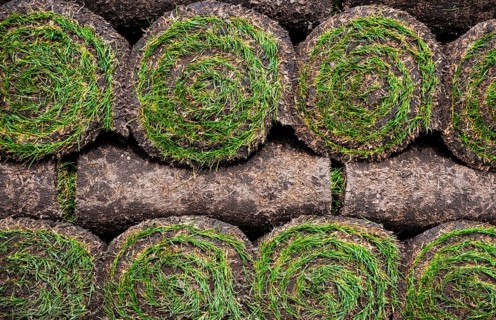 A pile of turf
