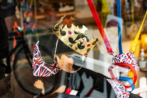Toy dog with crown and Union Jack neckerchief in a shop window in Brighton