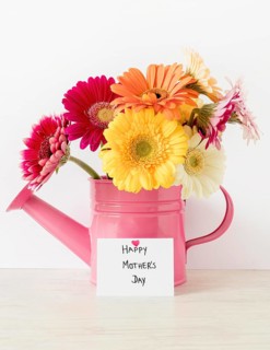 Arrangement with flowers watering can