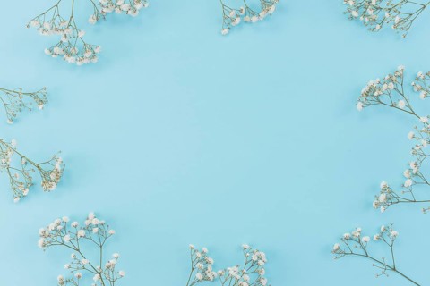 Frame made gypsophila