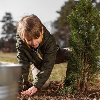 Front view young boy planting tree outdoors