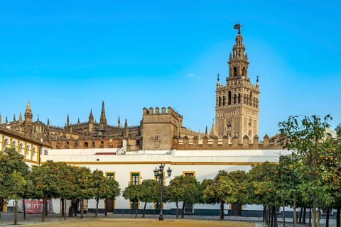 Patio de Banderas Square and the Cathedral of Santa Maria de la Sede in Seville