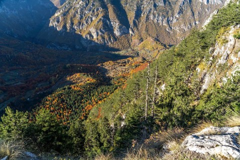 View from the lookout peak Curevac into the Tara Gorge