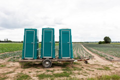Toilet hut for harvest workers in a field on the Lower Rhine