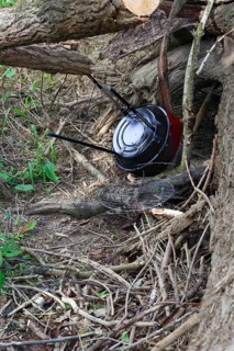 Illegally dumped rubbish in a nature reserve