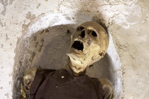 Skull
