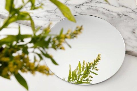 Foliage mirroring mirror