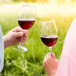 Wineglasses with red wine hands couple picnic