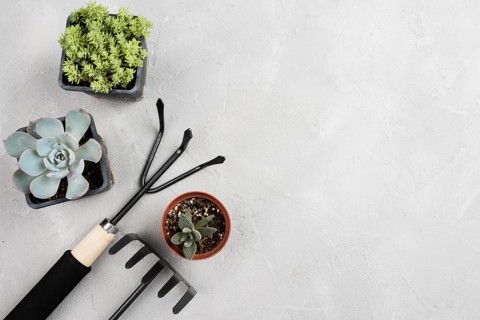 Flowerpots gardening tools white table