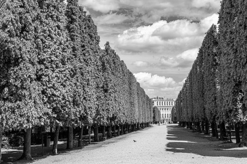 Schoenbrunn Palace Park and Palace