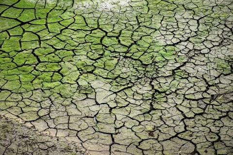 Dry soil with cracks due to prolonged drought