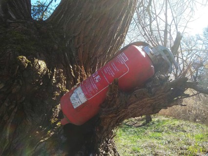 Illegally dumped rubbish in a nature reserve