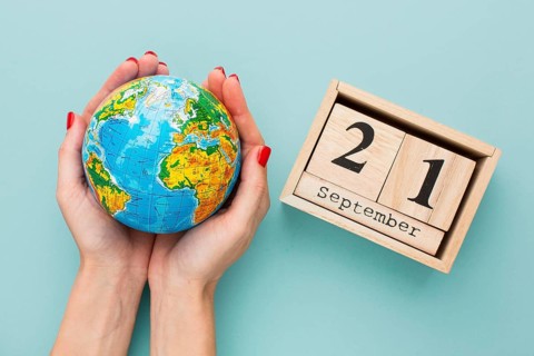 Top view hands holding earth globe calendar