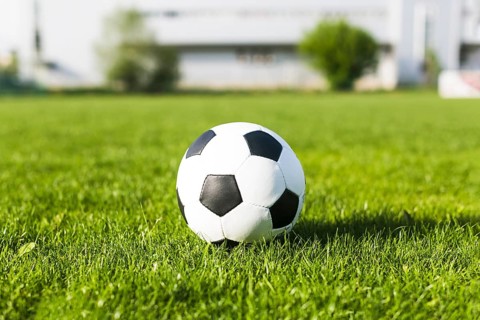 Football grass