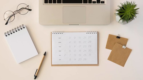 Flat lay desk calendar with succulent plant